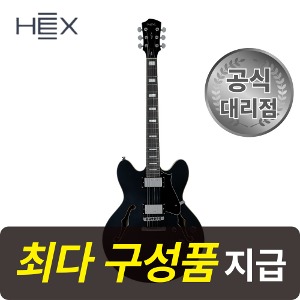 [최다구성품지급] 헥스 Q300 BK 블랙 / 세미할로우 바디 / 입문용 일렉 기타