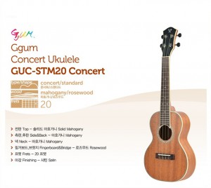 꿈[Ggum] GUC-STM20 Concert