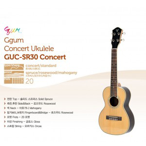 꿈[Ggum]GUC-SR30 Concert 