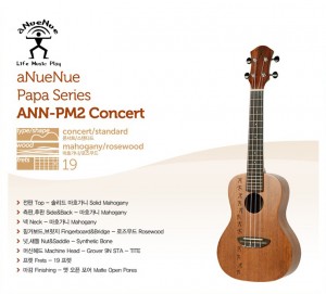 [aNueNue] PM2 Concert 